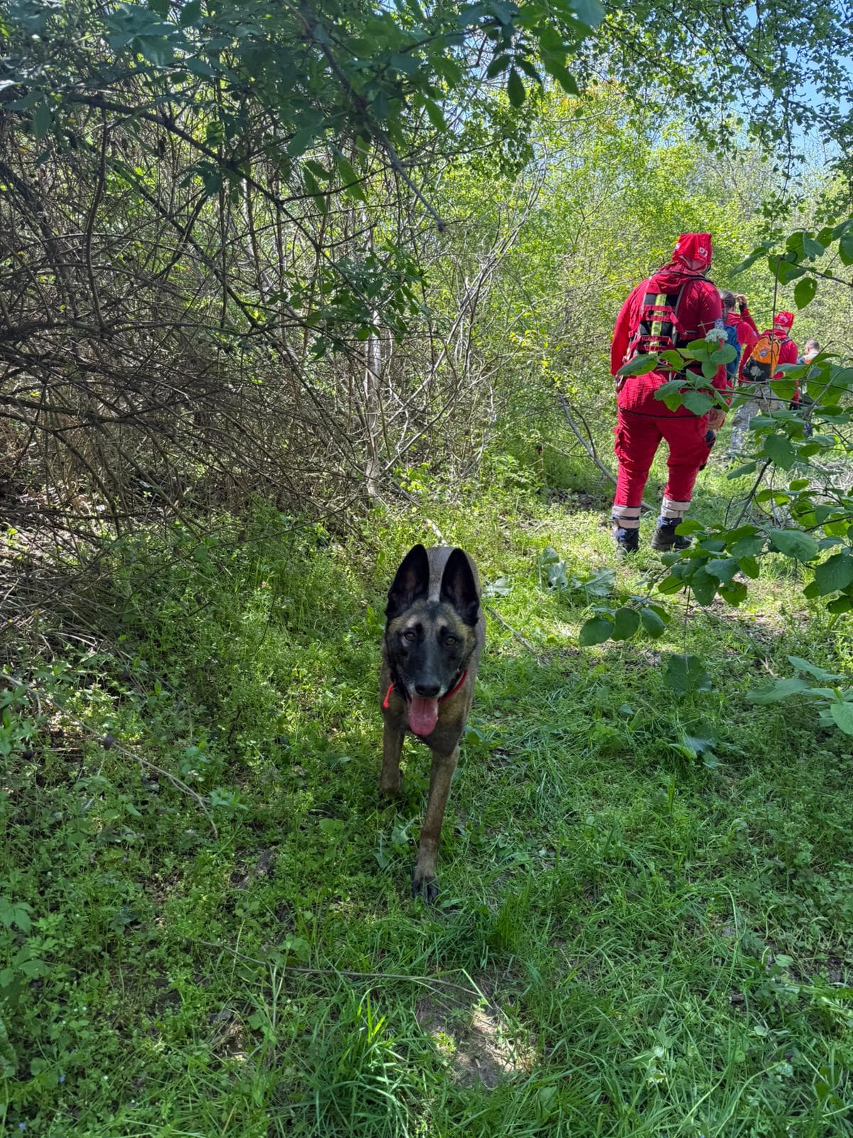 Grgurevci