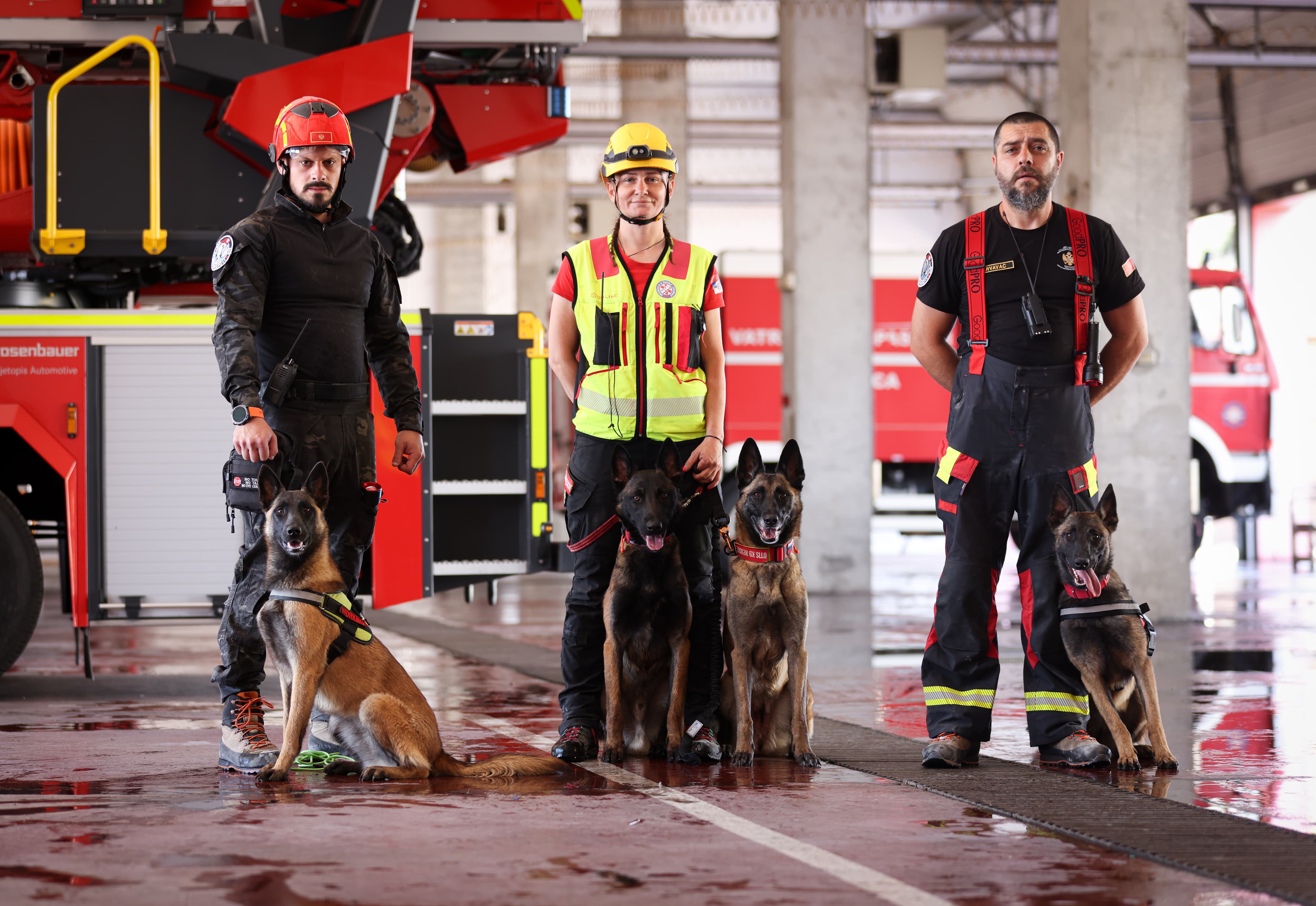 K9 CG